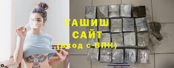 гашик Ельня