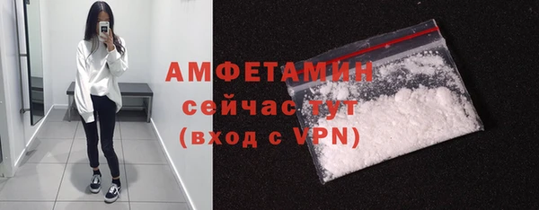 гашик Ельня