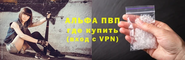 гашик Ельня
