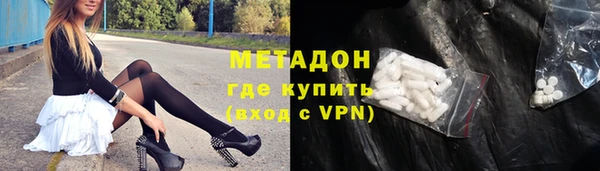 гашик Ельня