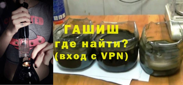 гашик Ельня