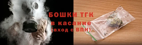 гашик Ельня