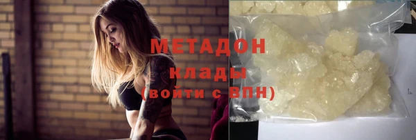 гашик Ельня