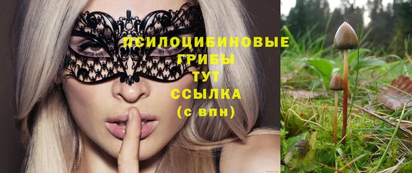 гашик Ельня