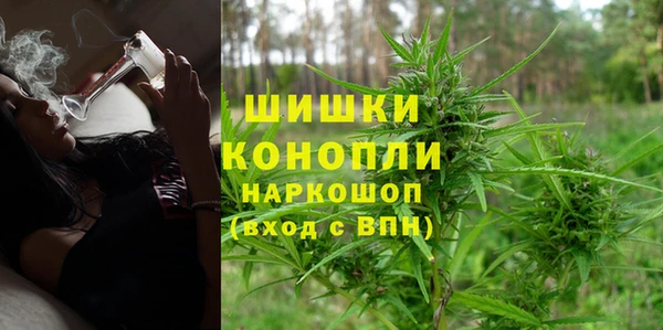 гашик Ельня