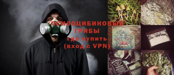 гашик Ельня