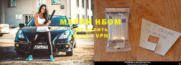 гашик Ельня