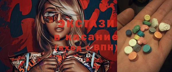 гашик Ельня