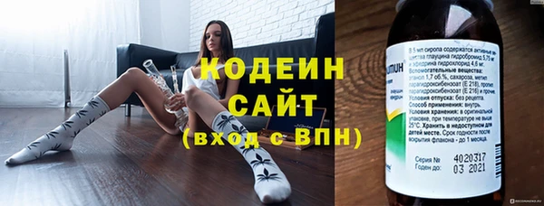 гашик Ельня